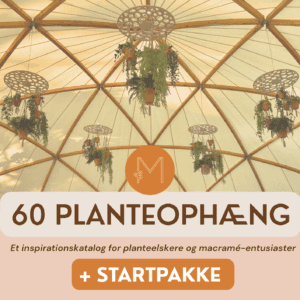 60 Planteophæng: Et inspirationskatalog (PDF-fil) + startpakke
